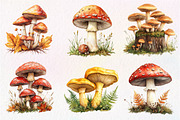Botanical Autumn Mushrooms Clipart, an Illustration by Dream Creation (Thumbnail 4 of 7)