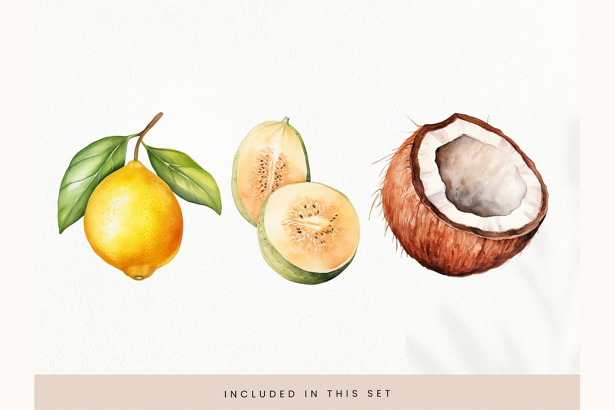 Watercolor Fruit Clipart, Fresh PNG, a Decorative Illustration by illuztrate (Photo 13 of 13)