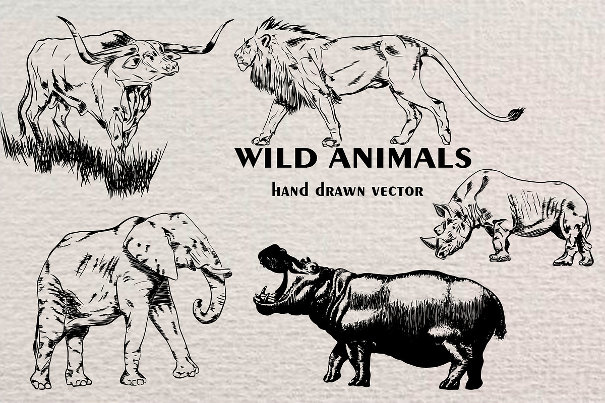 BUNDLE WILD ANIMALS VECTOR, an Animal Illustration by AnastasiyaOleynik (Photo 11 of 20)