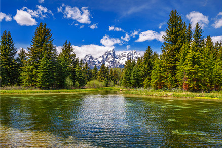 Schwabacher Landing with Snake River, a Nature Photo by Nick Fox