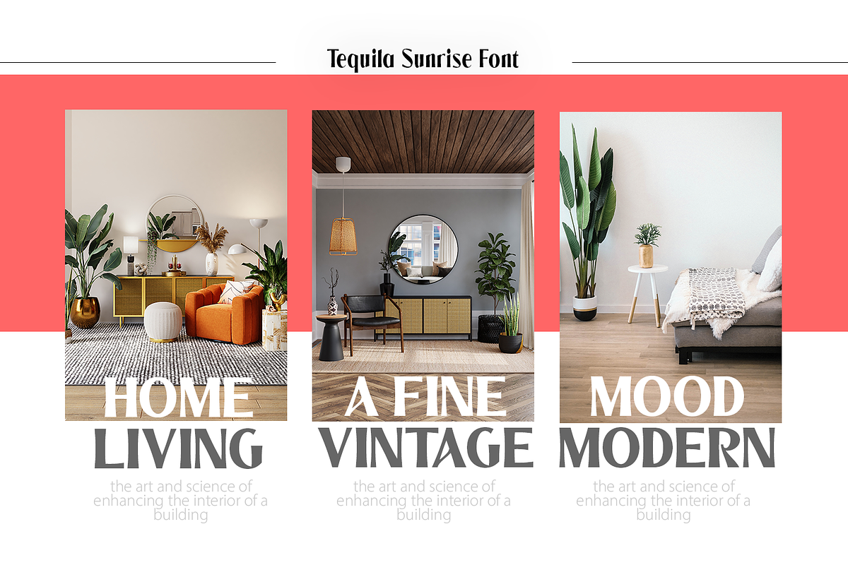 Tequila Sunrise, a Sans Serif Font by TypeClassHeroes (Photo 5 of 15)