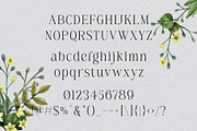 Belinda Avenue || Stylish Classic Se, a Serif Font by BrandSemut (Thumbnail 10 of 10)