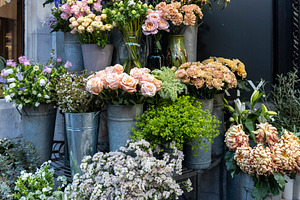 A colourful and abundant outdoor, a Wallpaper Photo by Imaginarium