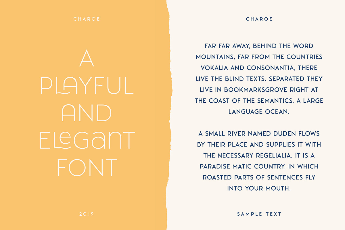 Charoe Typeface + Extras, a Font by Heritage Type Co. (Photo 5 of 17)