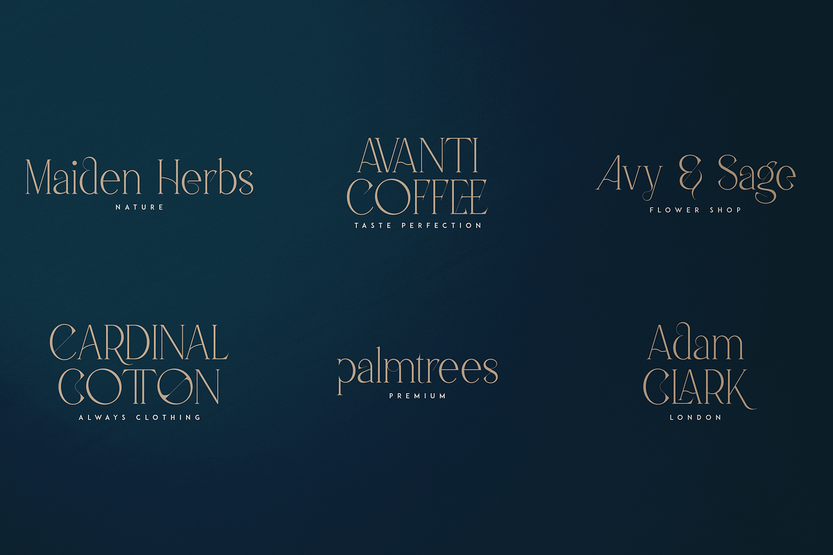 Malinger - Elegant Serif Font, a Serif Font by VP Fonts (Photo 4 of 20)