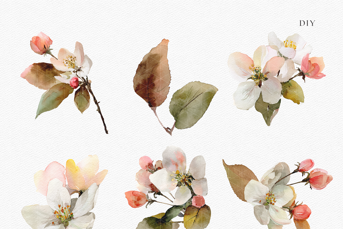 Watercolor Apple Blossom Bouquet, a Decorative Illustration by ThaismotaCreativeCo (Photo 4 of 11)