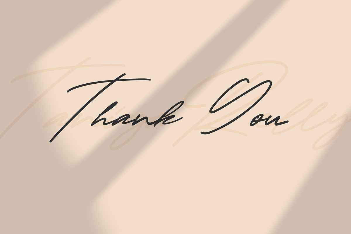 Taniya Relly - Luxury Signature Font, a Script Font by StringLabs (Photo 7 of 7)