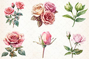 Pink Roses watercolor clipart, an Illustration by Libby Wishes (Thumbnail 4 of 4)
