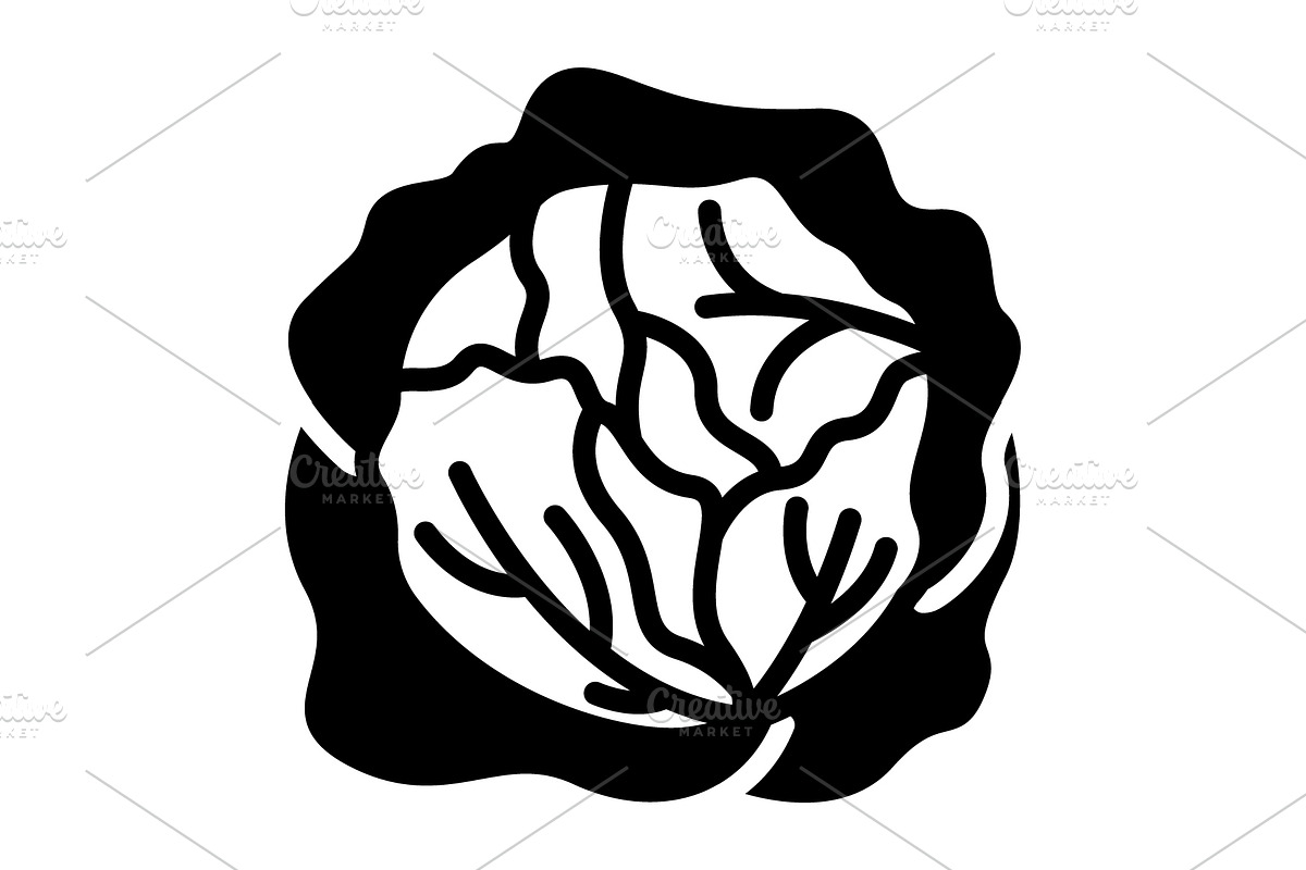 Cole cabbage solid icon, a Solid Icon by Creative priyanka