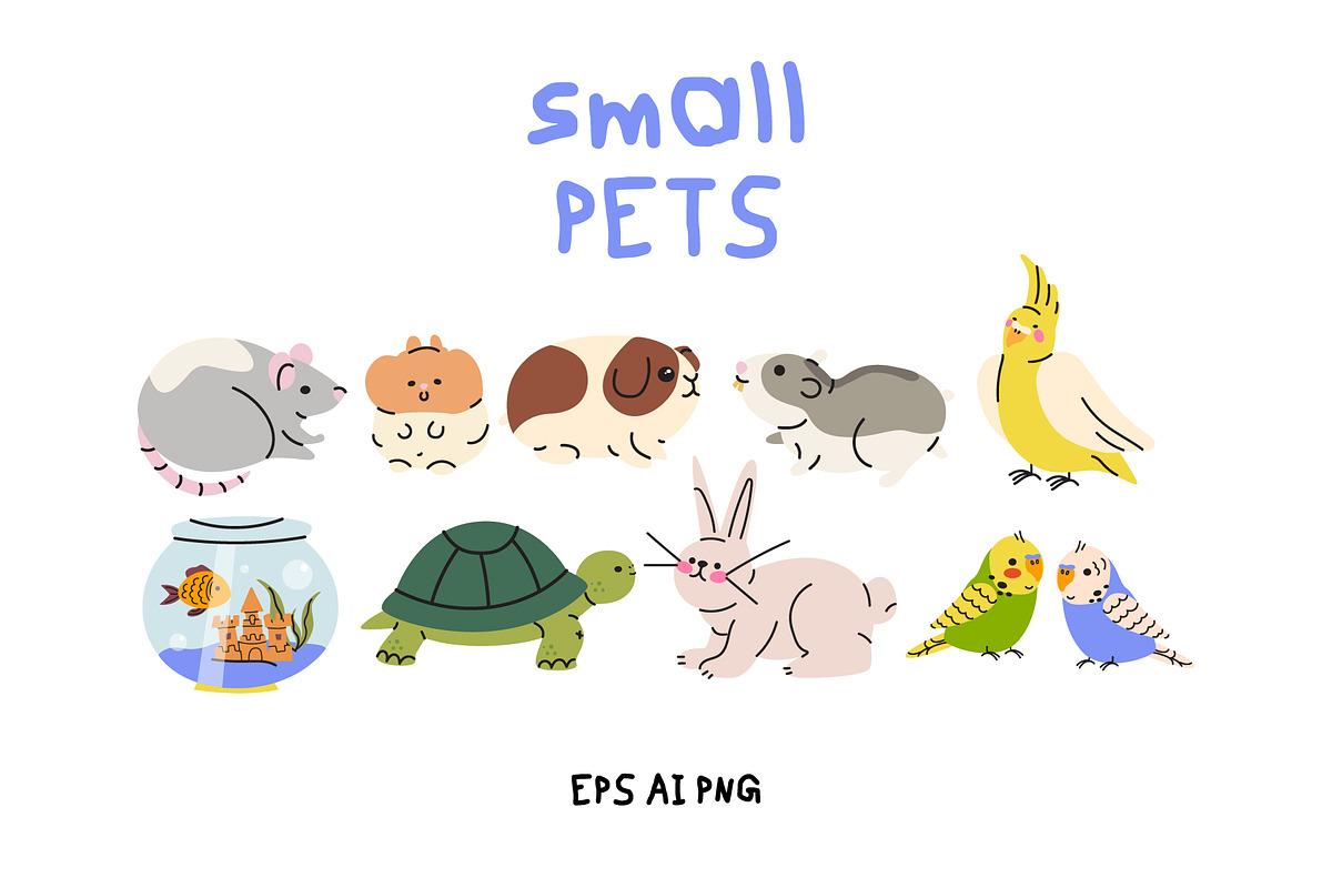 Domestic Pets Vector Illustrations, an Animal Illustration by Luamor (Photo 6 of 10)