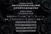 Black Roses | Script Font, a Script Font by Scratchones (Thumbnail 7 of 8)