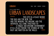 TBJ Malta 9-Font Family, a Serif Font by Taboja Studio (Thumbnail 7 of 16)
