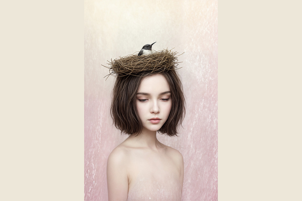 Surreal Bird Nest Portrait, a Person Illustration by StockVerse Creative (Photo 4 of 4)