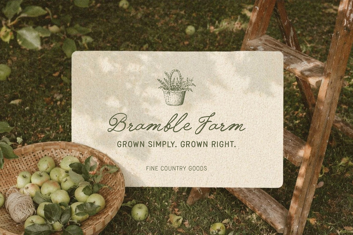Feather Trace - Organic Font Duo, a Handwritten Font by Davide Bassu (Photo 2 of 11)
