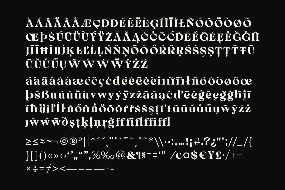Migua – Timeless Serif, a Serif Font by Yukita Creative (Photo 10 of 10)