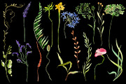 Nature Collection watercolour flower, a Decorative Illustration by ElenazlataArt (Thumbnail 5 of 8)