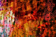 Dark texture abstract,Ordinary red, an Abstract Photo by Manis recycle abstract (Thumbnail 3 of 3)