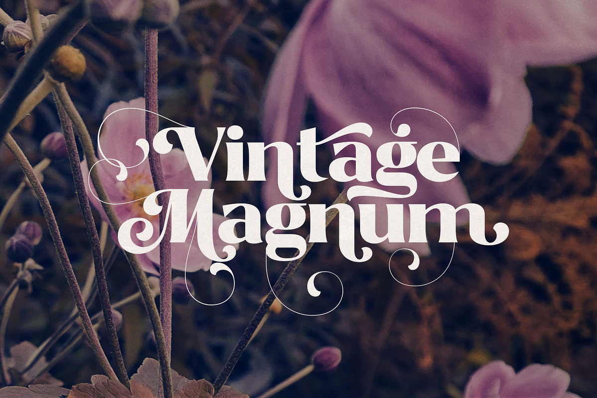Bitra - Beauty Serif Family, a Serif Font by creativemedialab (Photo 12 of 17)