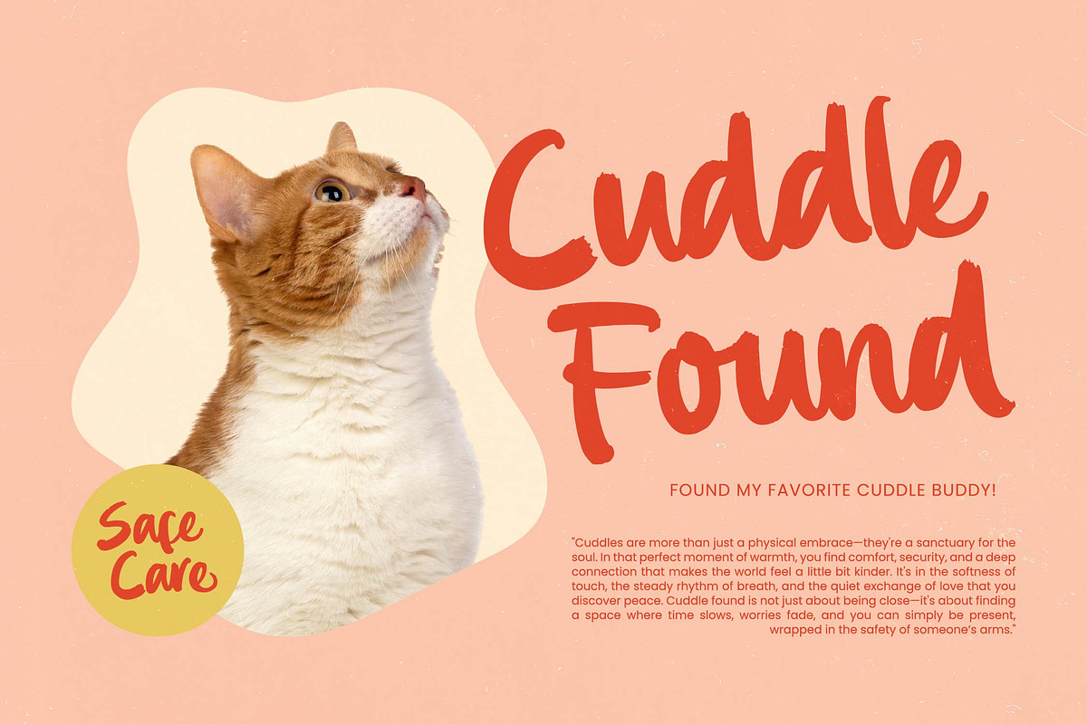 Bemhila Bold Brush Font, a Script Font by Letterena Studios Script (Photo 11 of 15)