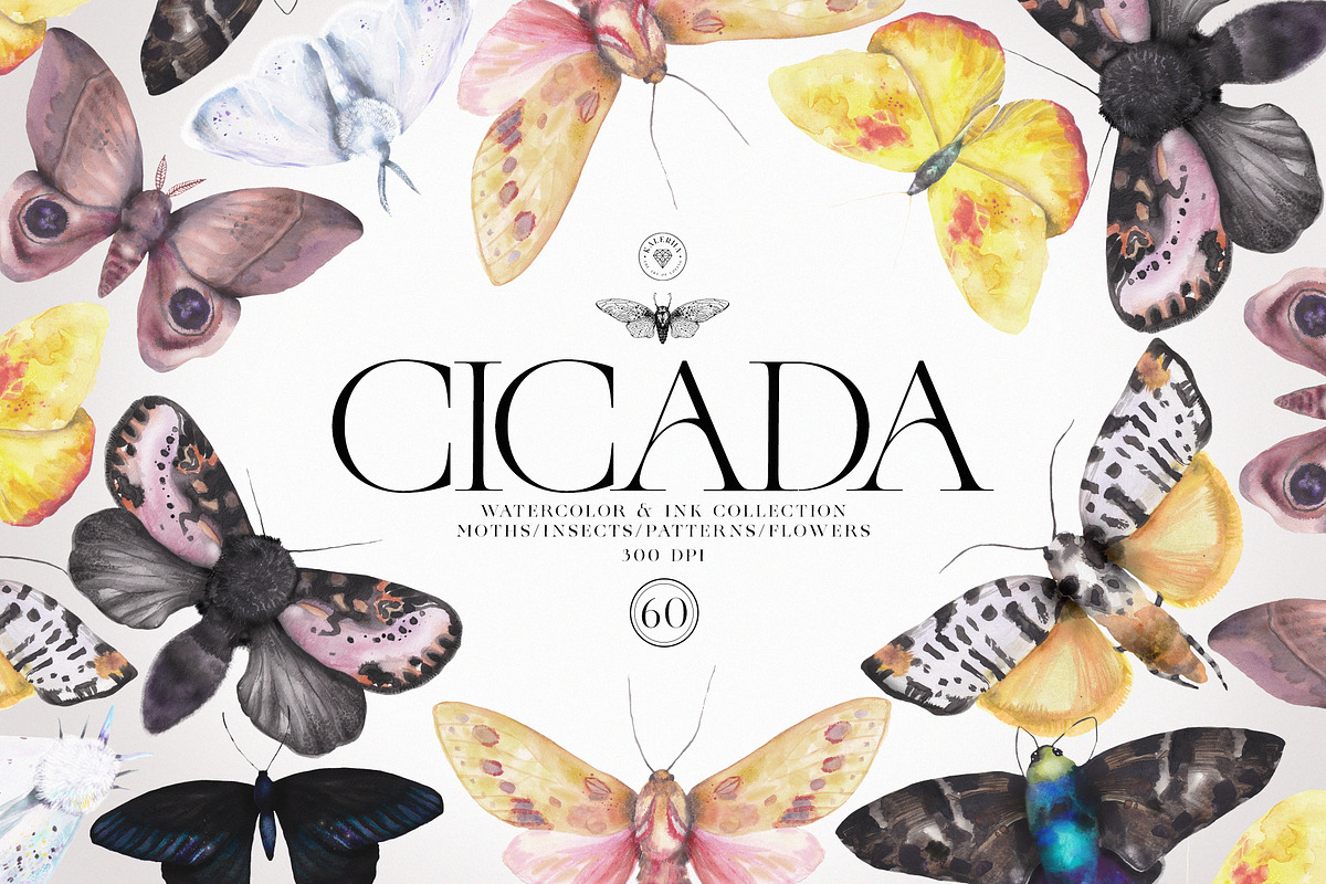Cicada - Insects & Flowers Ink Set, a Texture Illustration by Kaleriia (Photo 1 of 10)