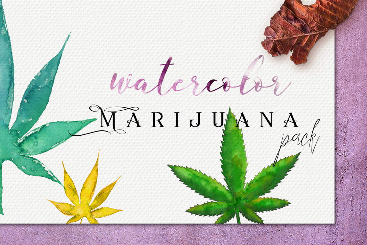 Watercolor Marijuana Pack:47elements, an Illustration by Jeanina Vlad (Photo 1 of 5)