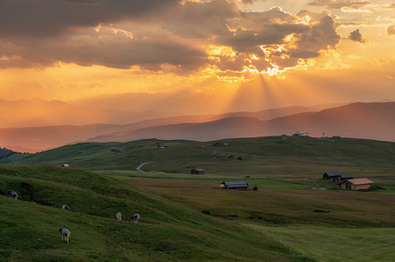 Beautiful summer day in the dolomite containing agriculture, alm, and aloe di, a Nature Photo by Dreamy Pixel