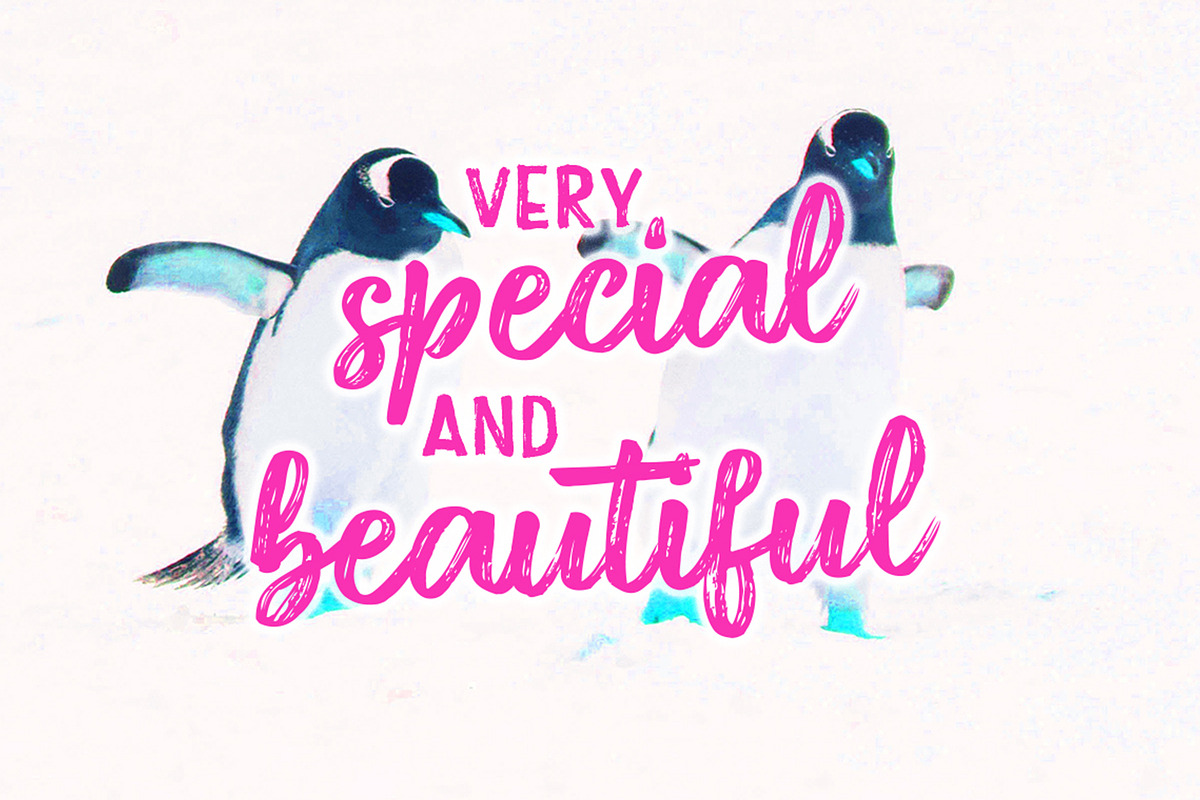 Diston Brush, a Script Font by Stripes Studio (Photo 3 of 6)