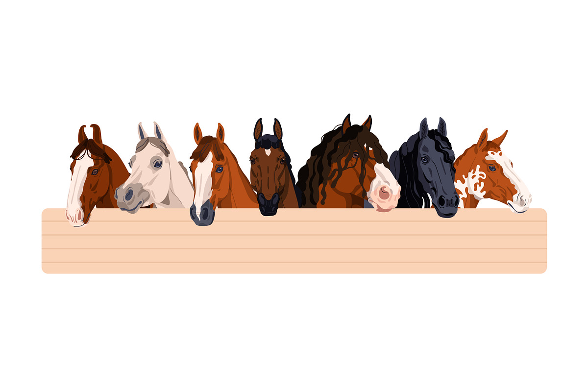 Horse heads set. Stallions breeds, an Animal Illustration by Good Studio (Photo 2 of 12)