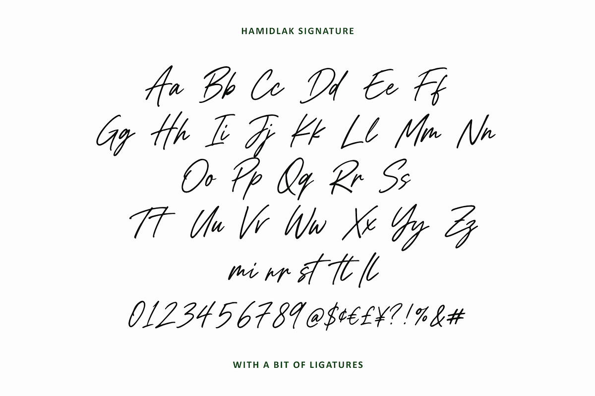 Hamidlak Font Duo Serif Signature, a Script Font by Maulana Creative (Photo 6 of 7)
