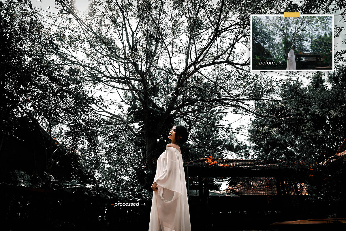 Moody Black - Actions and presets, an Action Add-On by Hydrozi Presets (Photo 8 of 9)