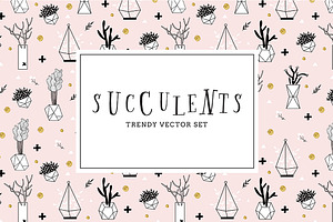 Succulents