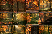 40 Fall Forest Digital Backdrops, a Background Graphic by Walllow Creatives (Thumbnail 1 of 3)