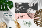 Lush-Summer Graphic Set, an Illustration by Graphic Box (Thumbnail 8 of 8)