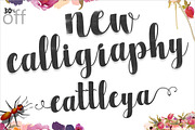 Font Bundle Caligraphy 85%Off, a Script Font by Genesis Lab (Thumbnail 18 of 27)