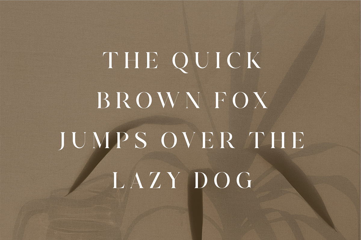 Quainy Modern Serif Font, a Serif Font by Dylla_studio (Photo 10 of 12)