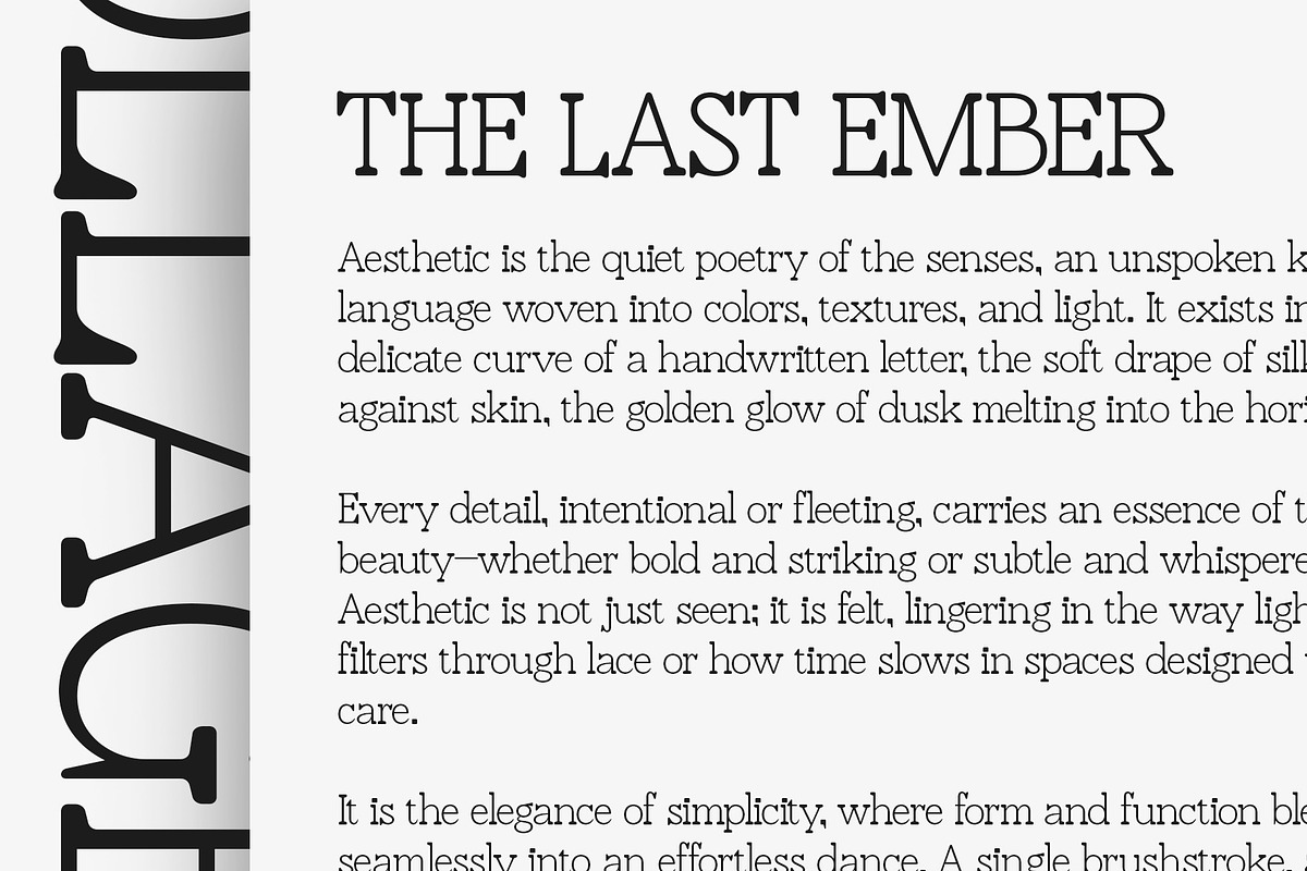 CS Collagen – Modern Font, a Serif Font by Craft Supply Co. (Photo 2 of 8)