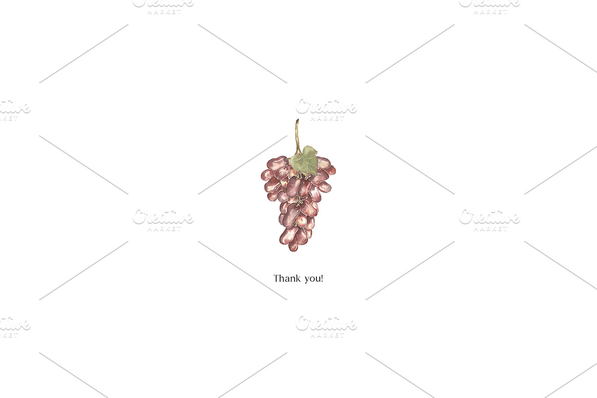 Watercolor Grapes Collection, a Decorative Illustration by MayaNavits (Photo 9 of 9)