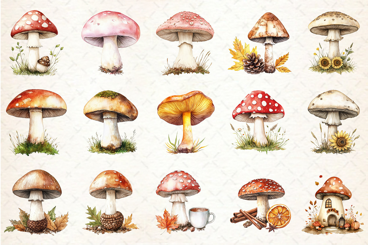 Autumn Mushroom Clipart, an Illustration by Rose Art (Photo 3 of 8)
