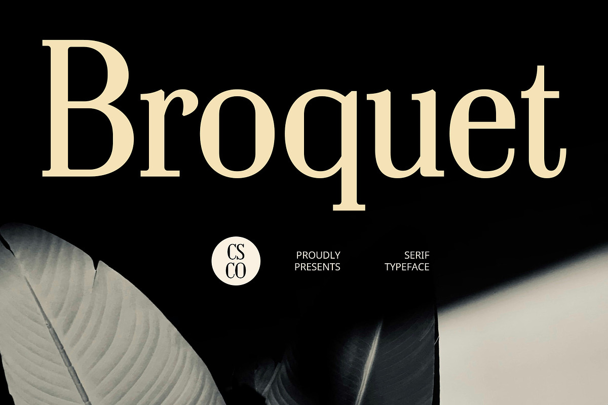 Broquet – Contemporary Font, a Serif Font by Craft Supply Co. (Photo 1 of 8)