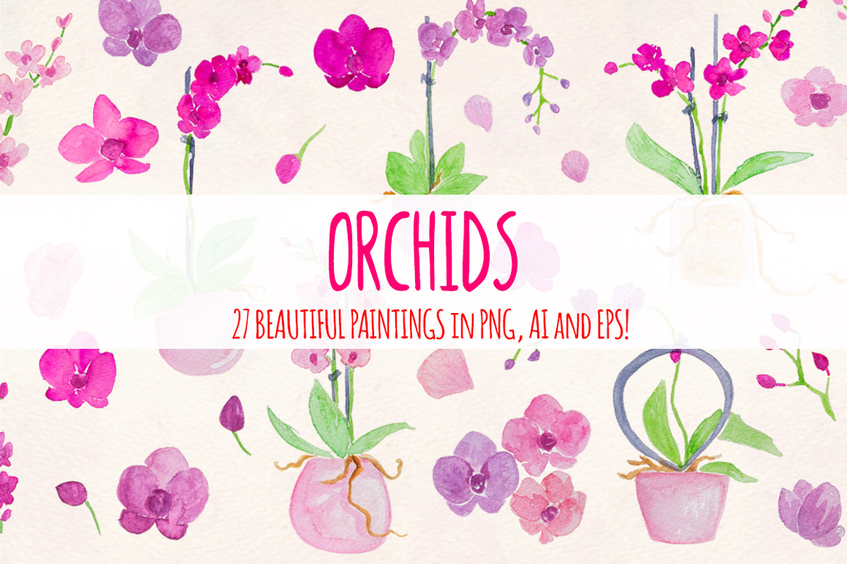27 Pretty Watercolor Orchid Flowers, an Illustration by Violet LeBeaux (Photo 1 of 3)