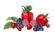 Fresh berries, a Food Illustration by handsketched (Thumbnail 19 of 21)