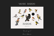 Birds of North America watercolor, an Animal Illustration by Diana Askarova Art (Thumbnail 9 of 9)