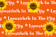 ZT Klotin - Display Typeface, a Serif Font by zelow type (Thumbnail 9 of 15)
