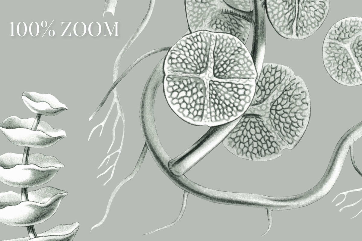 SEAWEED SEAMLESS PATTERNS & OBJECTS, a Decorative Illustration by Splash! (Photo 8 of 8)
