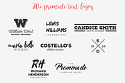 Big Hand Drawn Logo Kit, a Branding & Logo Template by Brandi Lea Designs (Thumbnail 24 of 32)