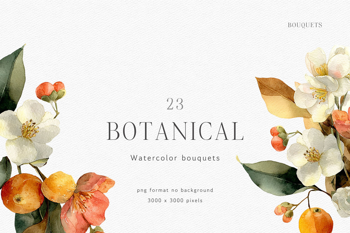 Watercolor Mandarin Clipart Set, a Decorative Illustration by ThaismotaCreativeCo (Photo 4 of 13)