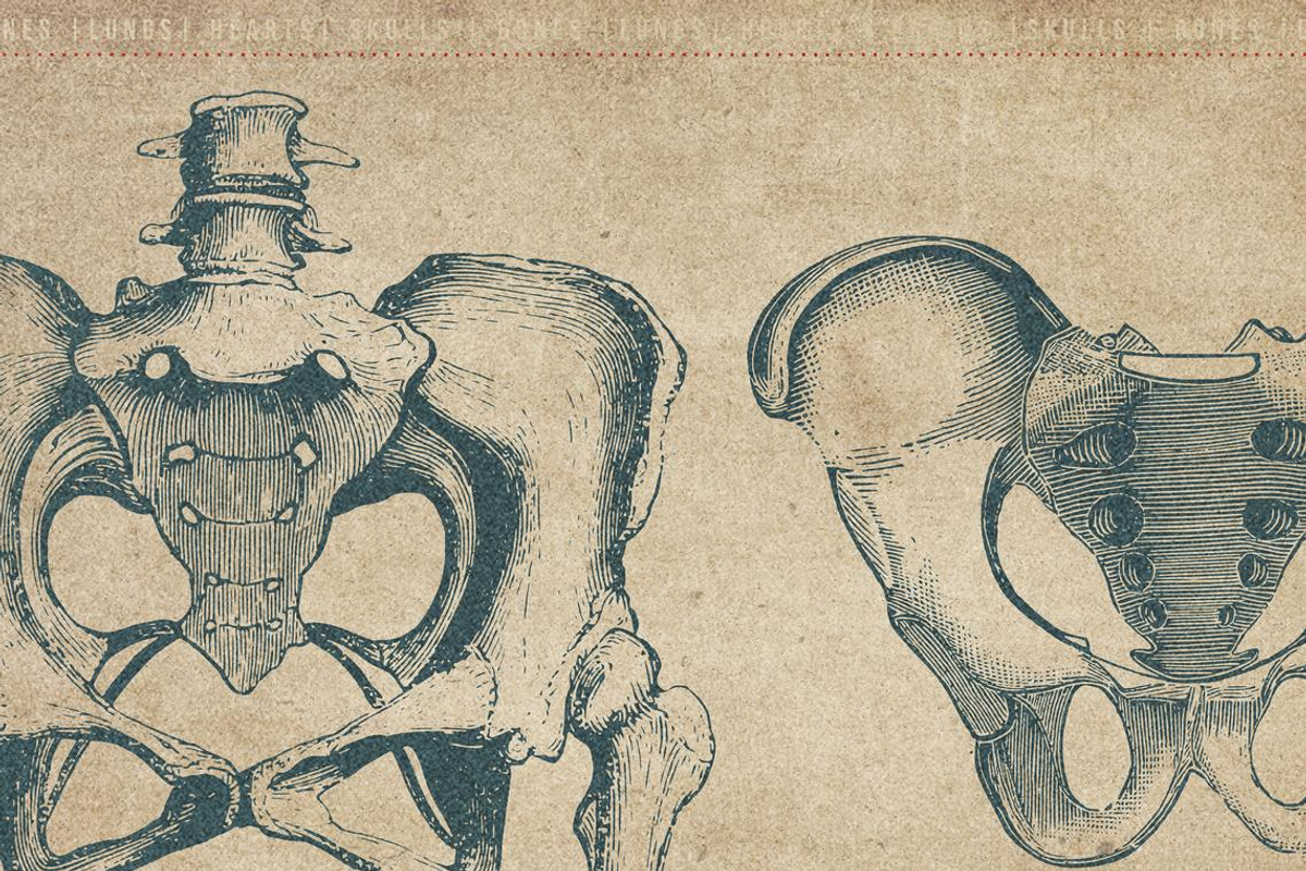 50 Procreate Anatomy Stamps, a Brush Add-On by Endete & Mazak brushes (Photo 6 of 7)