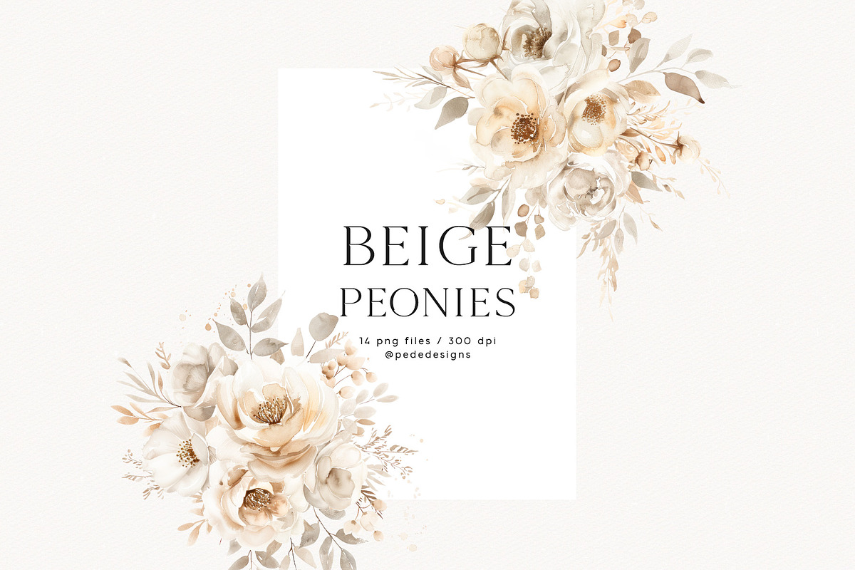 Beige Peonies, a Decorative Illustration by PeDe Designs (Photo 5 of 9)