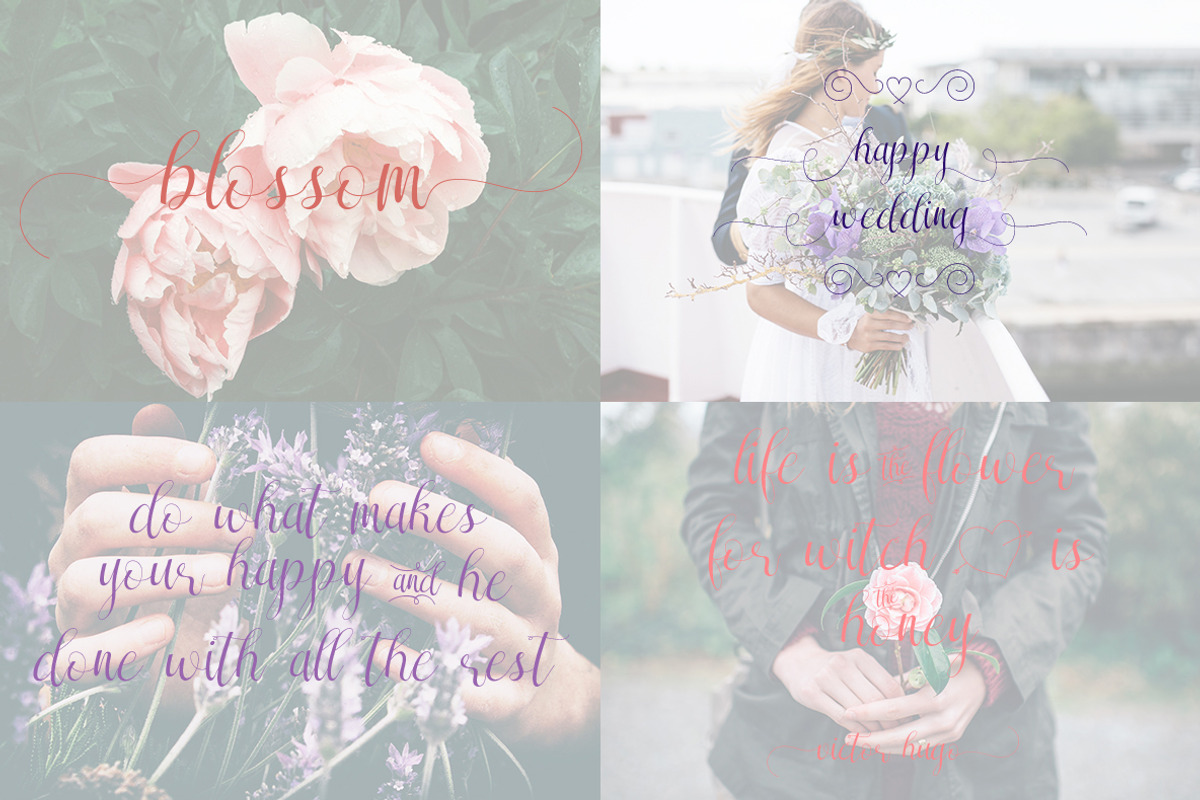 Sareeka Script ( Lovely Sale 30% ) preview 5