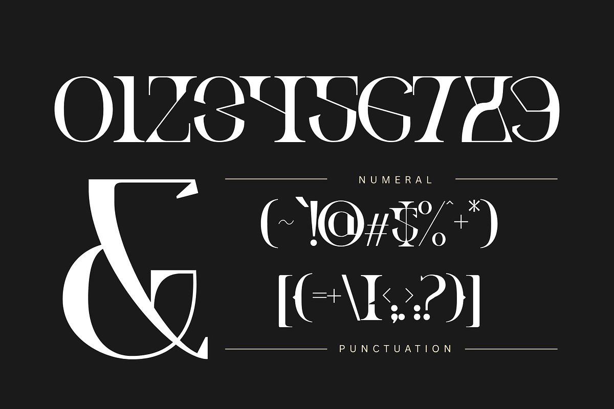 Ronel Luxury - Modern Logo Font, a Serif Font by Illushvara Design (Photo 7 of 14)